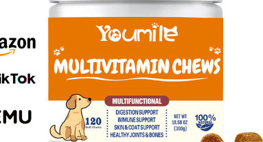 dog vitamin health supplement