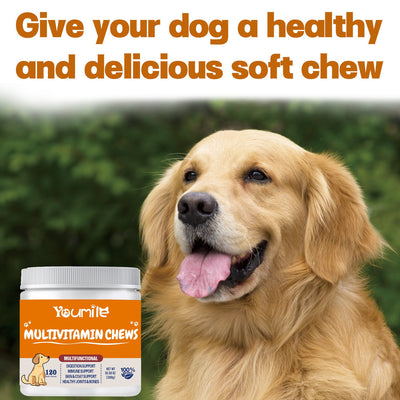 dog vitamin health supplement