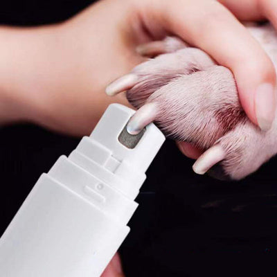 Electric Pet Nail Polisher with Light – Quiet Dog & Cat Nail Grinder