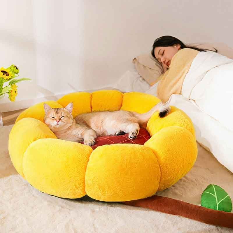 BEDS FOR YOUR FELINE FRIENDS
