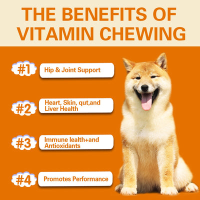 dog vitamin health supplement