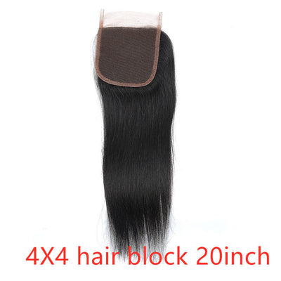 Straight Human Hair Extensions – Natural Color